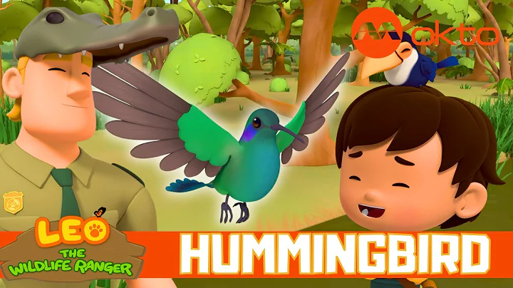 HUMMINGBIRD RESCUE ADVENTURE 🌿 DISCOVERY 🐦 | Leo the Wildlife Ranger Spinoff S7E05 | @mediacorpokto