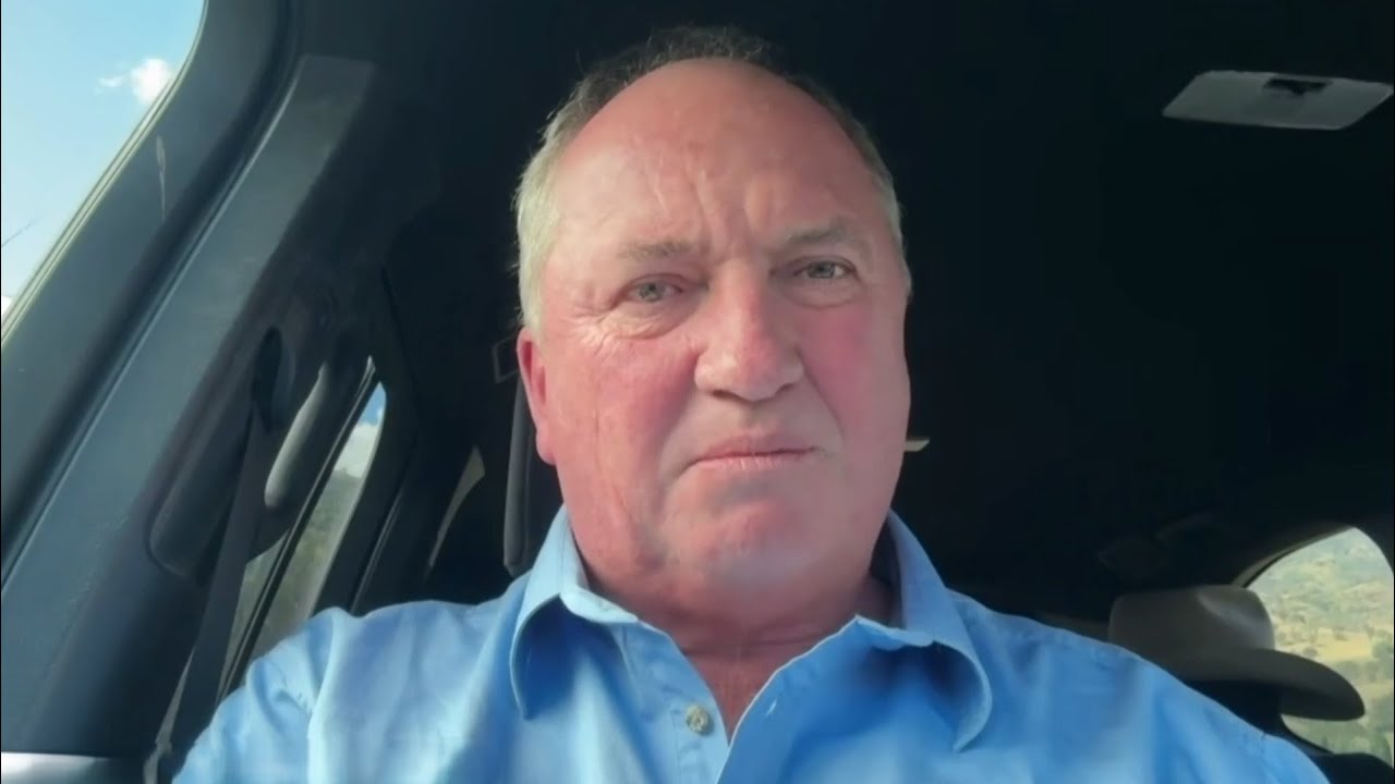 ‘We believe in Australian culture’: Barnaby Joyce on One Nation’s immigration approach