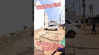 No Batidao Dog Catching #dog #streetdogrescue #ytviral #shorts #animals #pets #ytshorts #rescue