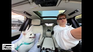 Crush (크러쉬) - deep dive into dipcuts (Official Audio)