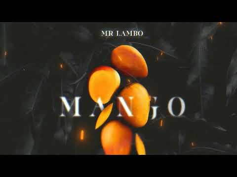 Mr Lambo - Mango (slowed + reverb)