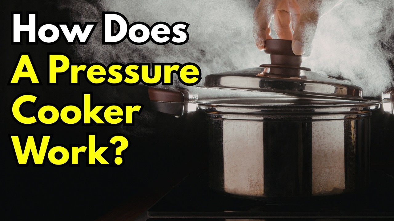 How Does a Pressure Cooker Work? (The 300 Year Old Science)