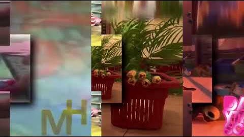 85 Shuric scans with are slides 