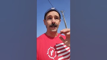 Flip the script on your mindset #mindset #goals #youcandoit