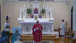 Palm Sunday Catholic Mass for March 29, 2026