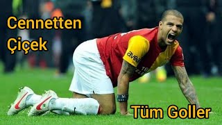 Felipe Melo - Cennetten Çiçek /Galatasaray'daki Tüm Golleri