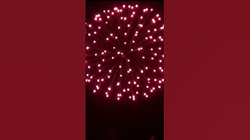 5Inch (125mm) Display Shell [ Chrys To Red To White Strobe ] #fireworksdisplay #fireworks #shorts