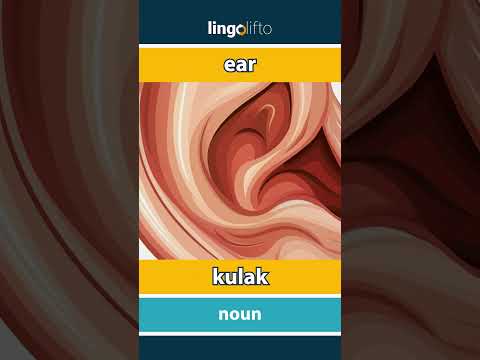 🇬🇧🇹🇷 ear -