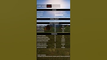 BEST DayZ in-game VIDEO settings #dayz #settings #graphics #video #tips  #tricks