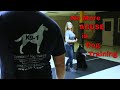 Confession of an Abusive Dog Trainer (K9-1.com) Confession of an Abusive Dog Trainer (K9-1.com)
