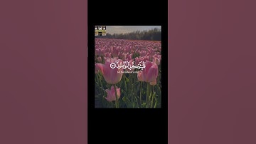 استغفر الله العظيم وأتوب إليه  #تلاوات #قران_كريم #تلاوة_هادئة #قرآن #تلاوةخاشعة