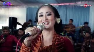 Download lagu Sambung - Wanci Dalu - Vc Uut Salsabila NNS Production