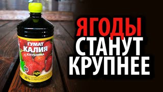 Жидкое удобрение МЕРА Гумат Калия Клубника 25% фульвокислот 1л