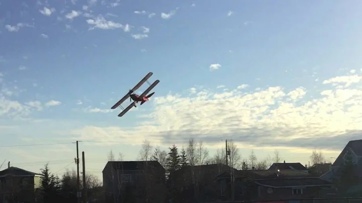 Dumas/Tritle 35" Tiger Moth