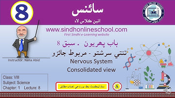 Nervous System | Science Class 8| Chapter 1| Lecture 8| by Nana Abid| Sindh Online School