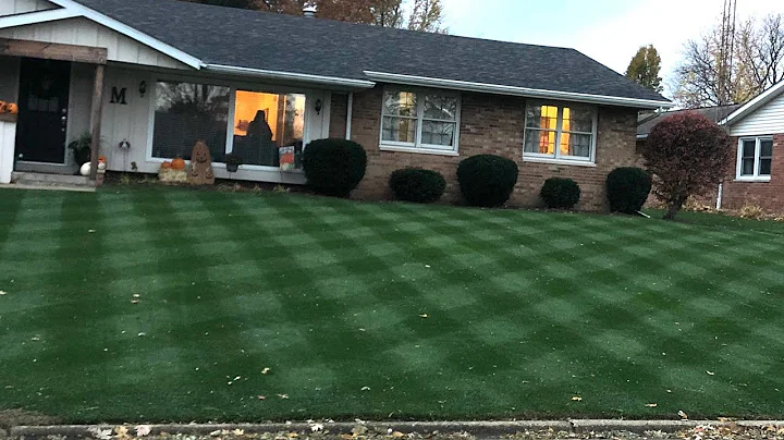 Is a Kentucky Bluegrass Overseed Possible?
