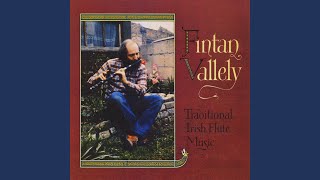 Video thumbnail of "Fintan Vallely - The Maid in the Cherry Tree / Castle Kelly"