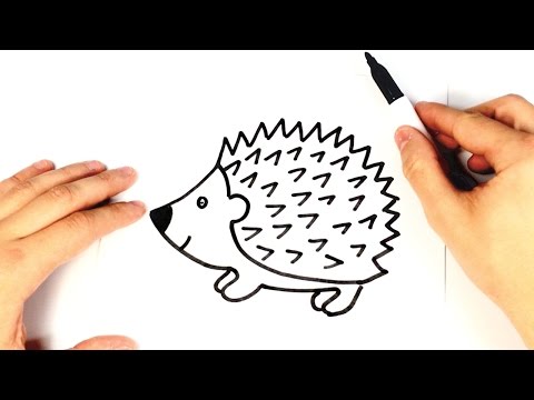 Video: Cómo Dibujar Un Erizo