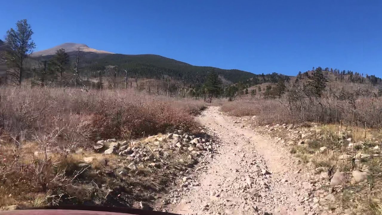 Custer County Road 198 Start of 4WD Trail YouTube