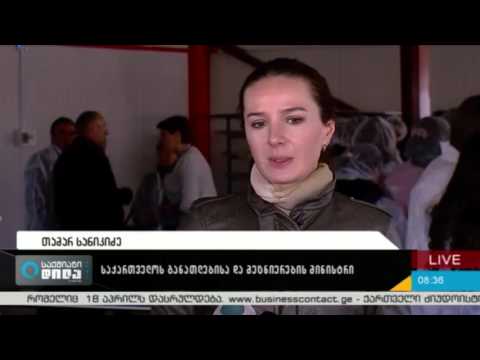 საპილოტე საგანი