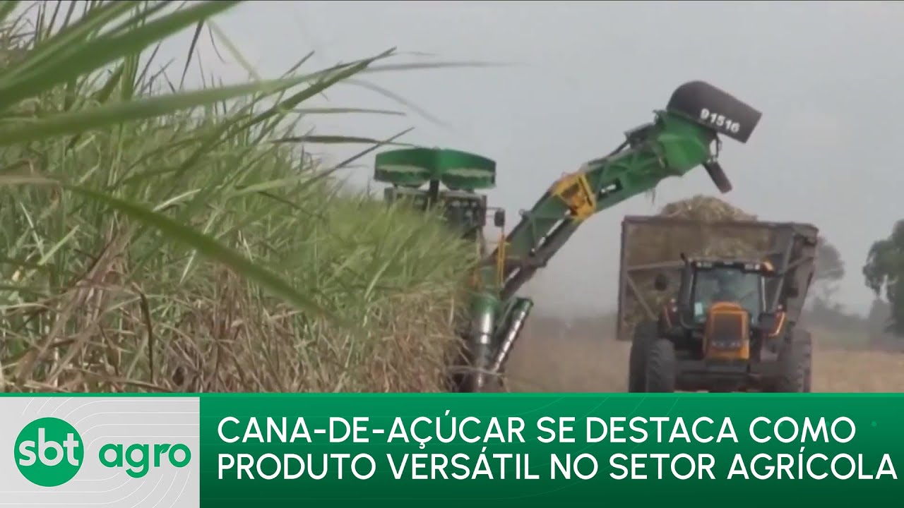 Calendário agrícola cana de açucar 3