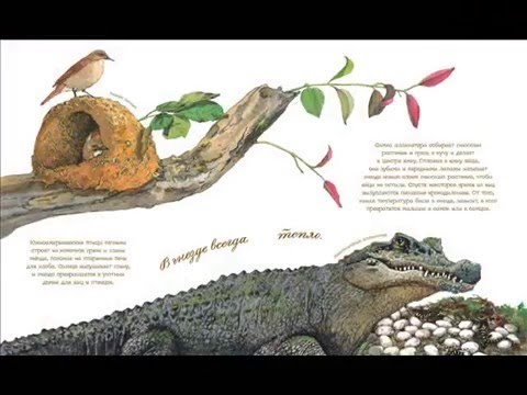 в гнезде так шумно. Смотреть фото в гнезде так шумно. Смотреть картинку в гнезде так шумно. Картинка про в гнезде так шумно. Фото в гнезде так шумно в гнезде так шумно. Смотреть фото в гнезде так шумно. Смотреть картинку в гнезде так шумно. Картинка про в гнезде так шумно. Фото в гнезде так шумно