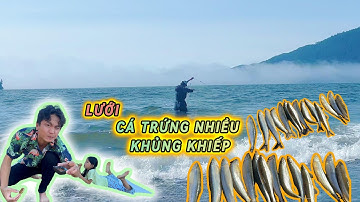 Ngày Dăng Lưới Cá Biển Và Cái Kết Quá Bất Ngờ #SmeltFishing #PortRenfrew