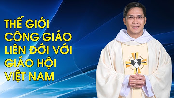 Biến cố Cha Giuse Thanh: Thế giới Công Giáo liên đới với GH Việt Nam, hoài nghi câu chuyện tâm thần