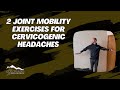 2 Joint Mobility Exercises for Cervicogenic Headaches / Thornton, Colorado Chiropractor