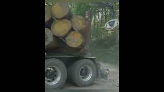 Timber Trucking in the black forest ( Scania )