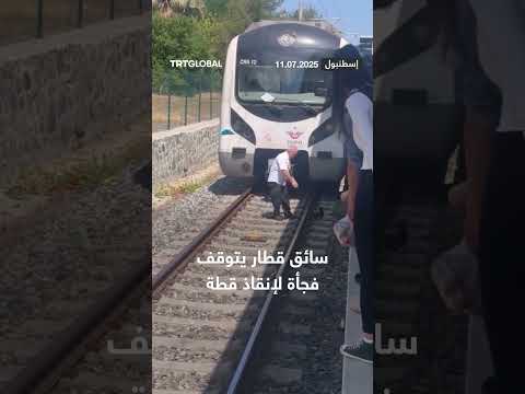 سائق قطار ينقذ قطة صغيرة عالقة في سكة مترو مارماراي بإسطنبول