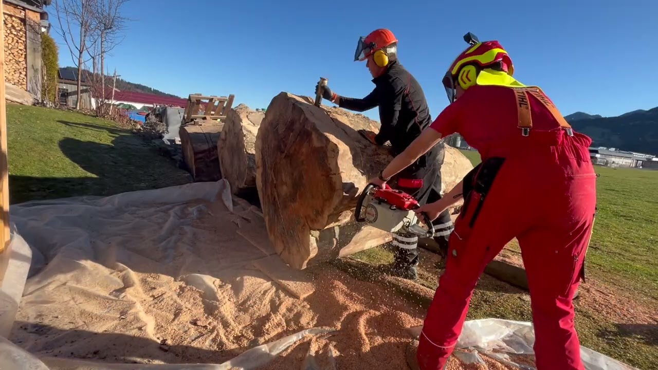 Brennholz 10,8t Buche Teil 1