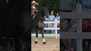 Manuel Vargas - Korluka Equestrian Gala 2023