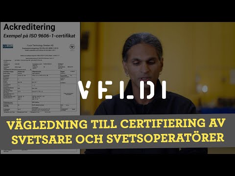 Video: Från fältet till bordet: hur rengör de frön i produktionen?