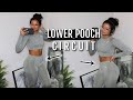 8 min LOWER ABS Workout -- No Equipment