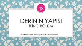 Derinin Yapısı - 2 Bölüm Güzellik Uzmanlığı 