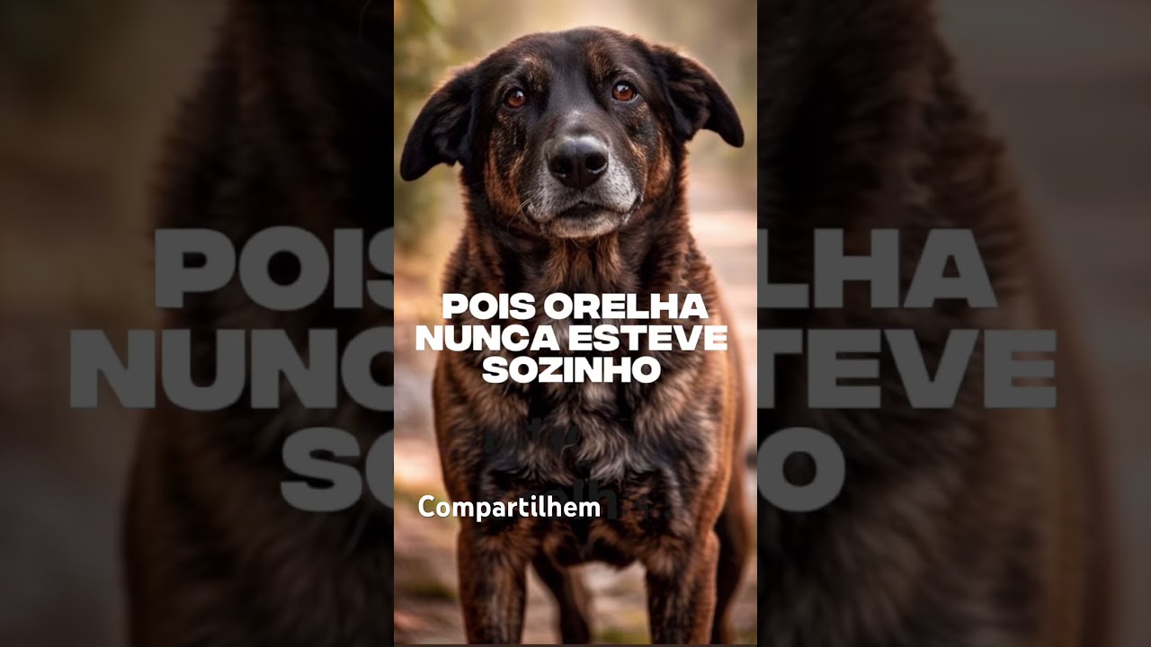 💖 Justiça ao Orellha! 