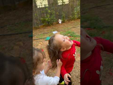 جلسة تصوير تحولت إلى كارثة Twins Youtubeshorts Youtube Mariacataleya 