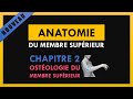 Anatomie du membre suprieur  chapitre 2  ostologie du membre suprieur