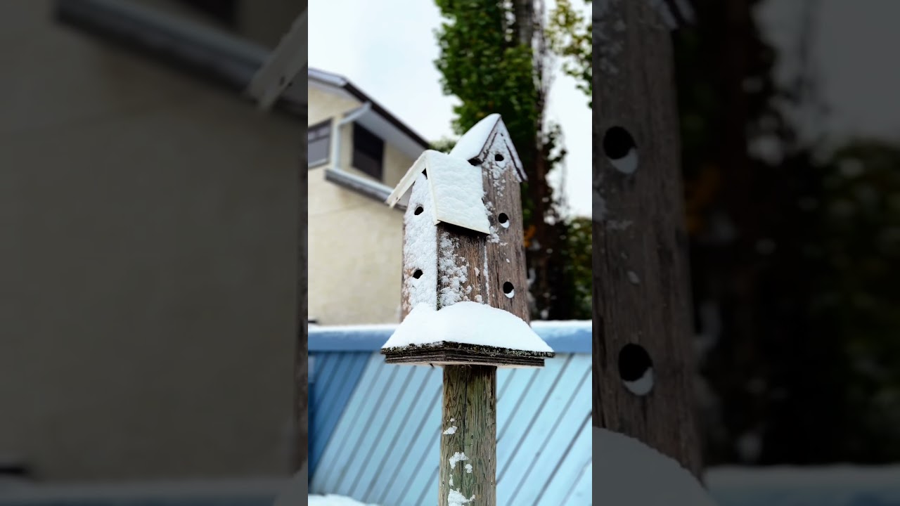 #canadalife #canada #snow #snowfall #subscribers #subscribetomychannel