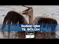 Sudaki İzler 75. Bölüm | Derinlerdeki Kır
