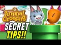 7 BEST WARP PIPE TRICKS in Animal Crossing Update 1.8! (New Horizons Tips - Switch Update)