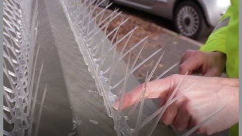 How to install Defender™ 8 Wide Plastic Pigeon Spikes