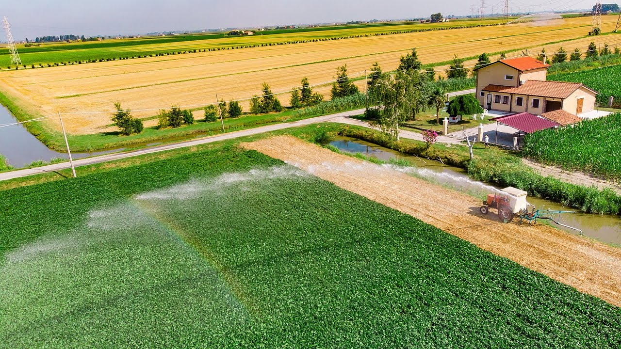 Qual A Diferença Entre Irrigação E Drenagem