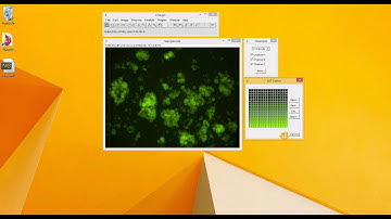 ImageJ Tutorial: How to convert greyscale to FITC