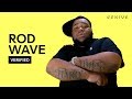 Rod Wave "Popular Loner" Official Lyrics & Meaning | Verified