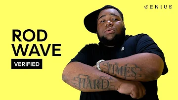 Rod Wave "Popular Loner" Official Lyrics & Meaning | Verified