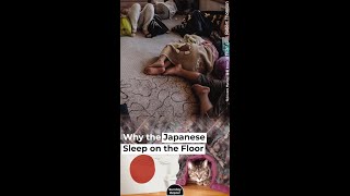 Why the Japanese Sleep on the Floor #shorts