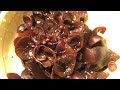 Китайский гриб Муэр рецепт. Приготовить Древесный гриб (Иудино ухо)