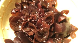 Китайский гриб Муэр рецепт. Приготовить Древесный гриб (Иудино ухо)